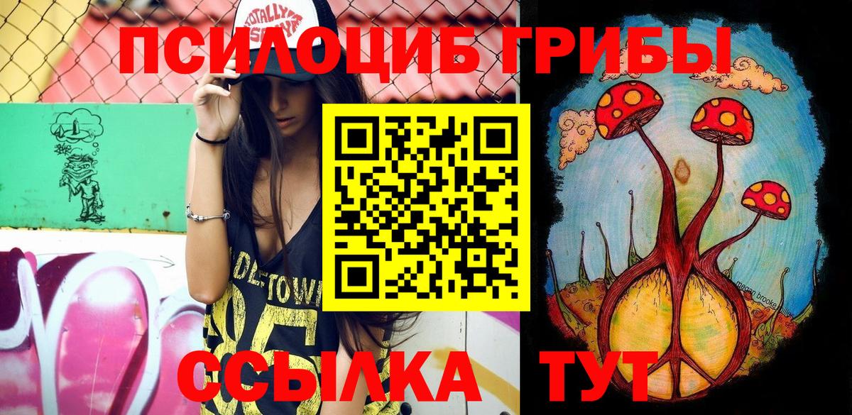 Ростов-на-Дону  Галлюциногенные грибы Psilocybe  Вход с VPN 